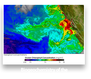Research Area: Biogeochemistry of the California Current Upwelling System